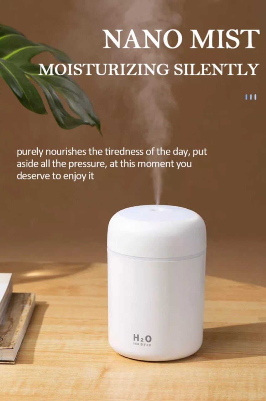 H2O Humidifier Aroma Diffuser